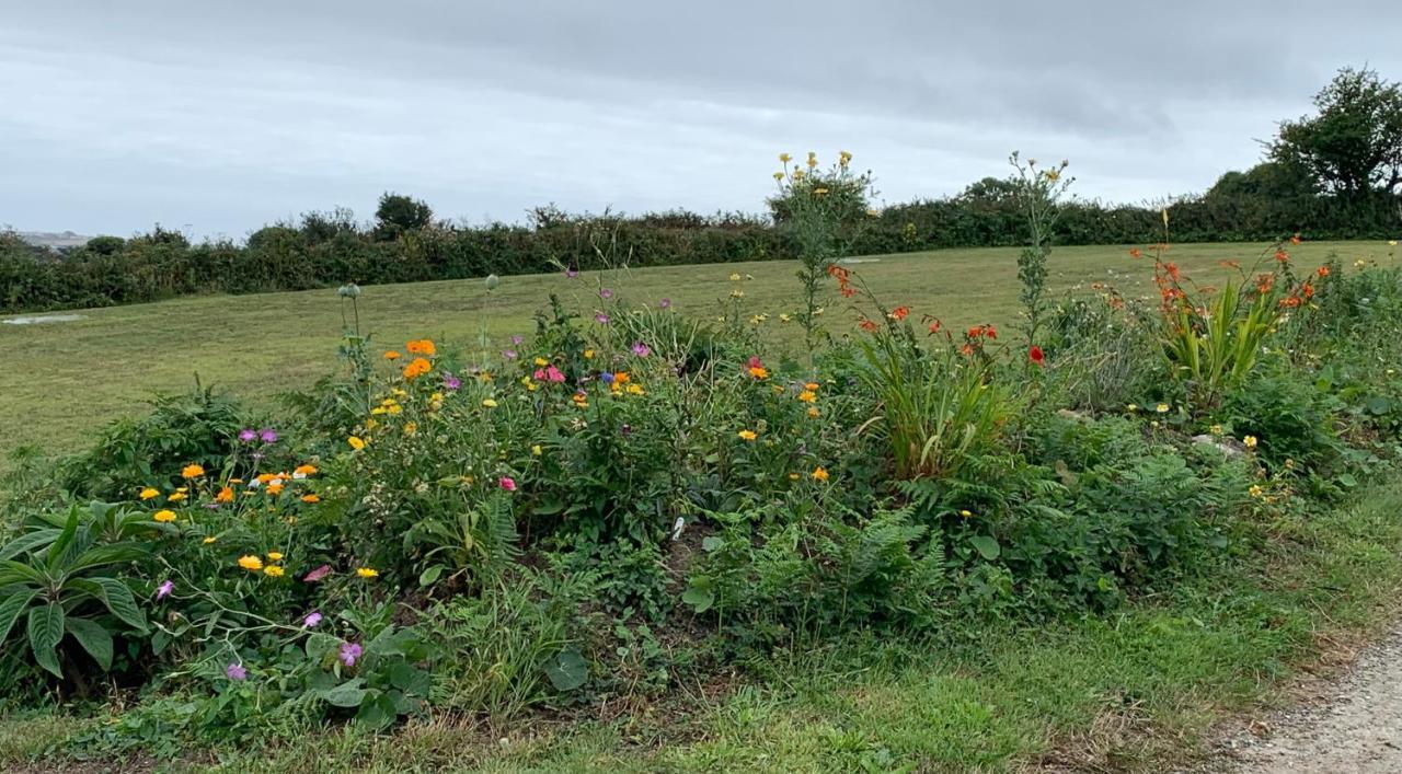 Penzance, Private Annexe With Beautiful Views. * Ludgvan